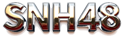 snh48 logo